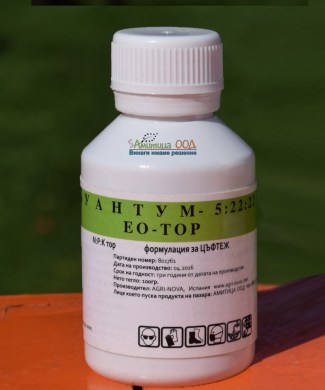 kuantum-quantum-za-cftezh52222
